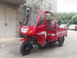 🚲 Denstar Eco-Friendly Tricycle | Available in Lagos - Smooth Ride & Low Mileage - Image 4